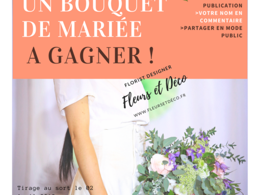 Jeu Concours