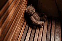 florinejeannot-mariage-muriel-jerome-belleepoque-224