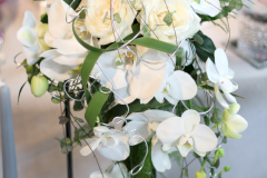 IMG_7323_resultat