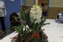 12509388_724856114282473_9151298023399276484_n