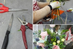 26169874_1229661667135246_6648554708893403381_n