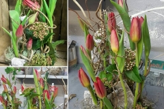 26731710_1241421762625903_571613773438582830_n