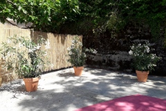 20190622_150754