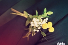 14570496_1185907361500764_5802140014645241500_n