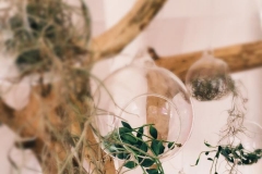 14650137_1185907734834060_1735796309849156926_n