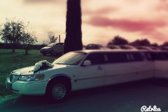 14702487_1184720931619407_8655852461024649522_n