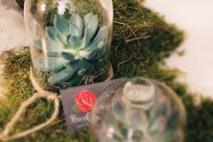 14718782_1185907648167402_5315821630320866593_n