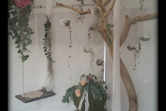 2016-11-10 22.42.17_resized