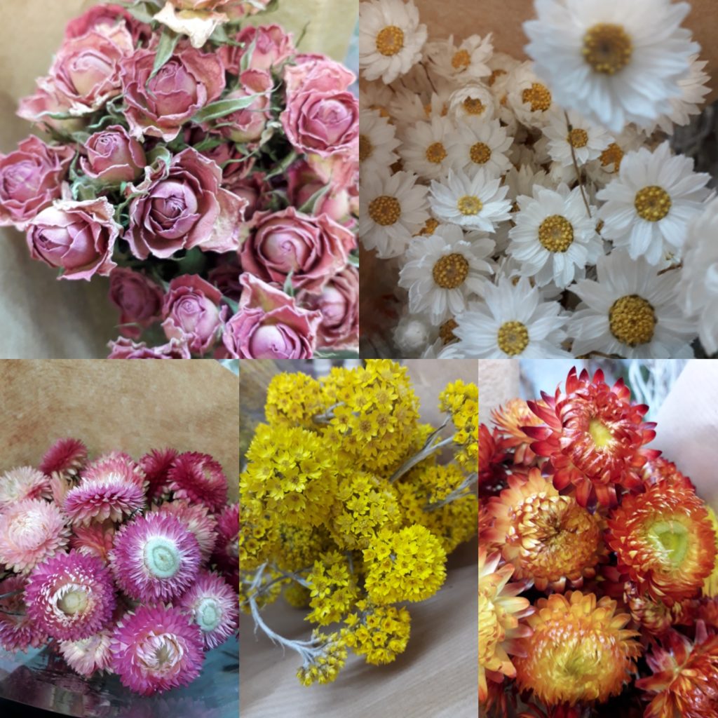 Bouquet de fleurs séchées