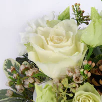 Livraison fleurs tain l'hermitage