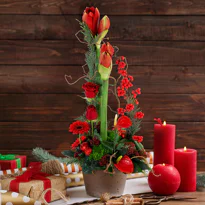 Fleuriste tain l'Hermitage