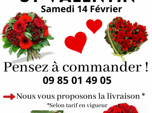 St Valentin : la Fête des Amoureux